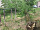 Аварийное дерево упало на лавочку на улице Комитетской Новочеркасска