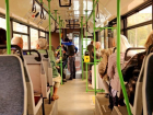 В Новочеркасске у пассажира автобуса похитили портфель