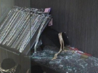 В Новочеркасске пытались ограбить ювелирный магазин