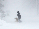 Очередной снежный циклон движется на Новочеркасск