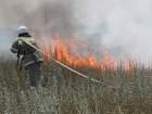 Газораспределительную подстанцию спасли от рукотворного ландшафтного пожара в Новочеркасске