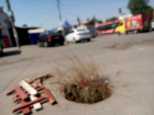 В районе Азовского рынка в Новочеркасске из огромной ямы выросла трава
