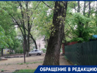 «Засохший тополь может рухнуть, не дождавшись топора дровосека», - жительница Новочеркасска