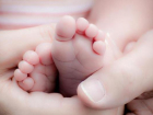 Новочеркасцы получат маткапитал за рождение первого ребенка