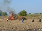 В Новочеркасске сожгли огромную кучу конопли