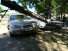 В Новочеркасске сгнивший столб обрушился на припаркованные машины