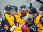 Новочеркасские хоккеисты победили ростовчан в финальных играх НХЛ