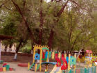 «В детском саду № 49 проведут опиловку деревьев», - администрация Новочеркасска