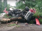 Неуправляемый грузовик с алкоголем снес деревья и перевернулся в Новочеркасске