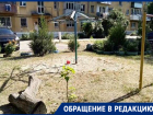 «Наши дети играют в песочнице с травой и фекалиями животных», - жительница Новочеркасска