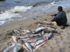 Браконьеров на резиновой лодке схватили под Новочеркасском при ловле краснокнижной рыбы  