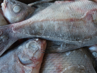 В Новочеркасск пытались провести 4 тонны подозрительной рыбы без документов