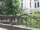 Огромное дерево перегородило тротуар возле главного корпуса новочеркасского университета