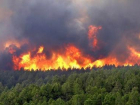 Новочеркасские пожарные тушат пожар под Геленджиком