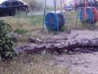 Упавшее дерево третий день лежит на детской площадке в Новочеркасске