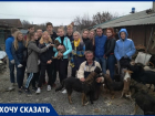 «Бездомные животные нуждаются в вашей помощи», - волонтеры Новочеркасска