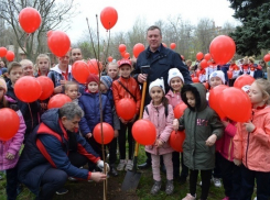 Новочеркасск присоединился к акции «Дерево памяти»