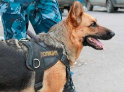 В Новочеркасске пакет с игрушками наделал много шума