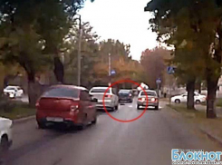 В Новочеркасске вежливые водители пропускают кошек на пешеходных переходах (ВИДЕО)