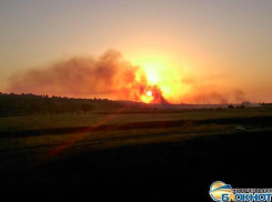 В Новочеркасске снова горела пойма реки Тузлов, огонь едва не подобрался к Татарке