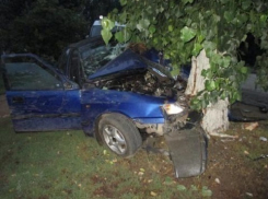 Под Новочеркасском «Дэу Эсперо» врезалось в дерево - водитель погиб