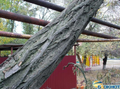В Новочеркасске упавшее дерево прогнуло газопровод возле игровой площадки детского сада