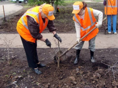 Жители Новочеркасска могут временно трудоустроиться на общественные работы