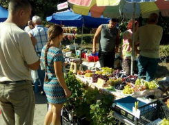 «На выставке винограда не оказалось виноградных напитков», - новочеркасцы