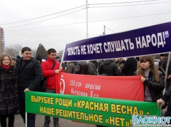 73% жителей Новочеркасска высказались против строительства детских садов на территории рощи