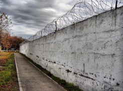 В Новочеркасскую колонию пытались доставить запрещенный груз