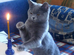 Лето в Новочеркасске начнется с отключения электричества