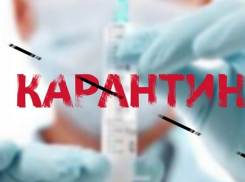 В Новочеркасске более 80 человек находятся на карантине из-за контакта с заболевшим коронавирусом рабочим завода
