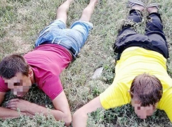 Новочеркасский бизнесмен случайно задержал подозреваемых в краже рекламных баннеров