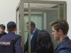 Защита задержанного сити-менеджера Новочеркасска обжаловала его арест
