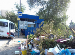 «Пыль до небес и мусорные завалы», – жители улицы Украинской Новочеркасска устали от бездействия коммунальщиков