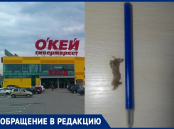 «Съешь салатик - повредишь зубы», - жительница Новочеркасска