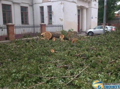 В Новочеркасске на улице Троицкой спилили деревья для замены водопровода