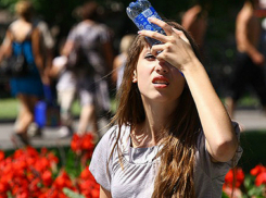 Жара не сдает позиции: в предстоящий уик-энд в Новочеркасске ожидается до +33