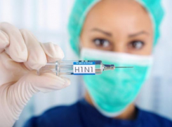 Медики признались: свиной грипп в Новочеркасске есть