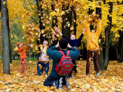 Новая неделя в Новочеркасске будет прохладной