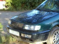 Овчарка вытащила хозяина под ехавший автомобиль в Новочеркасске