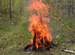 В Новочеркасске введен особый противопожарный режим
