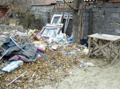 Горожане будут платить не только за вывоз мусора, но и за его переработку