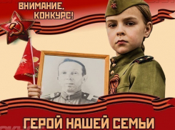 Началось голосование за участников конкурса «Герой нашей семьи»
