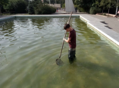 После публикации «Блокнота Новочеркасск», из фонтана на «Космосе» достали мертвых голубей