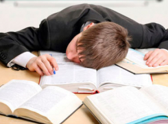 Жительница Новочеркасска начала сбор подписей за пятидневную учебную неделю в школах