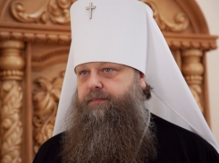 «Люди пытаются увидеть то, чего нет на самом деле» - новочеркасский митрополит Меркурий о банкете в честь визита патриарха