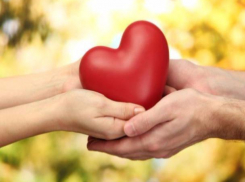 В десятку самых добрых городов страны вошел Новочеркасск 