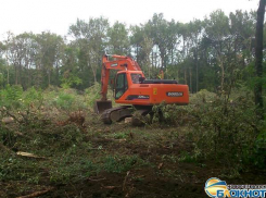 В Новочеркасске на месте строительства детского сада в роще деревья больше не пилили (ВИДЕО)