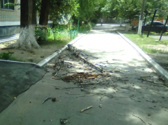 Огромная сухая ветка рухнула с высоты пятого этажа в Новочеркасске